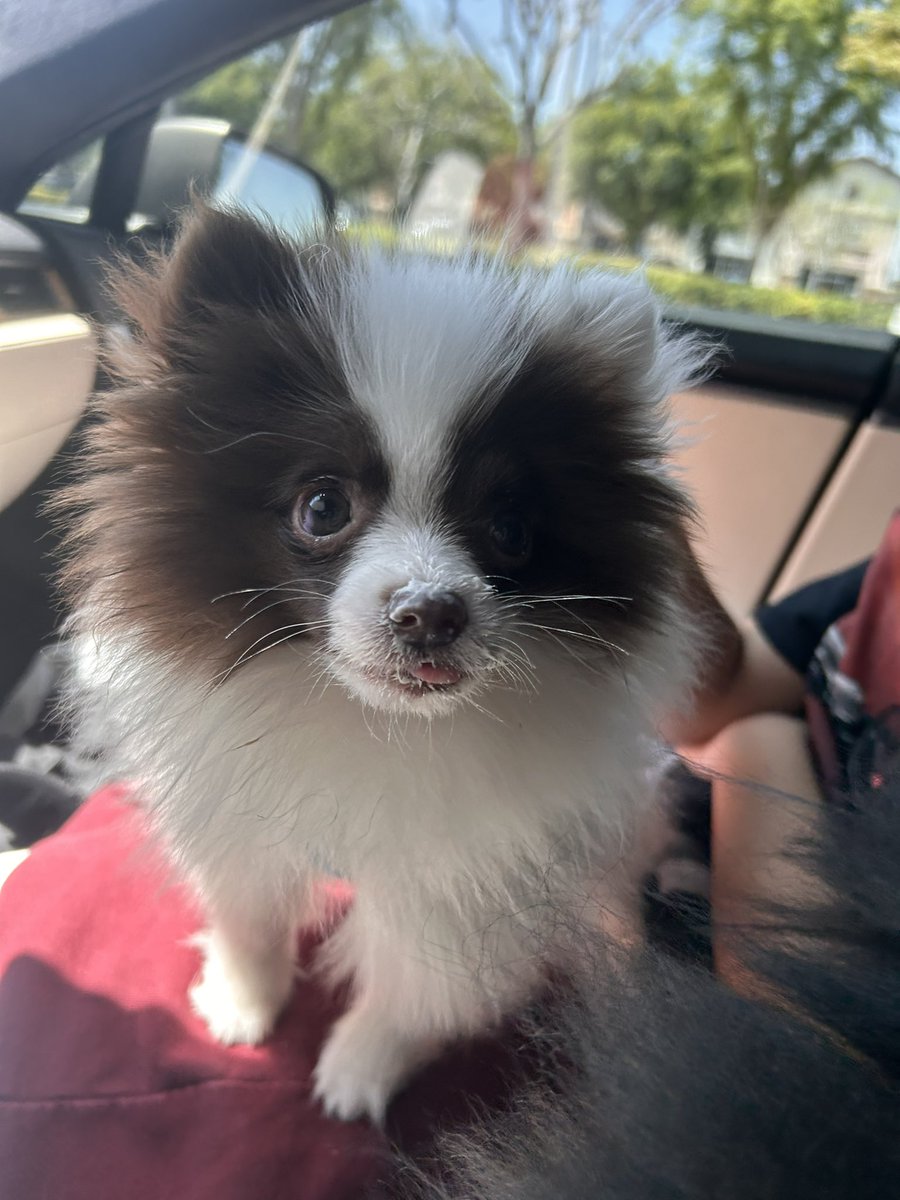 daly ! ⁷ tweet media