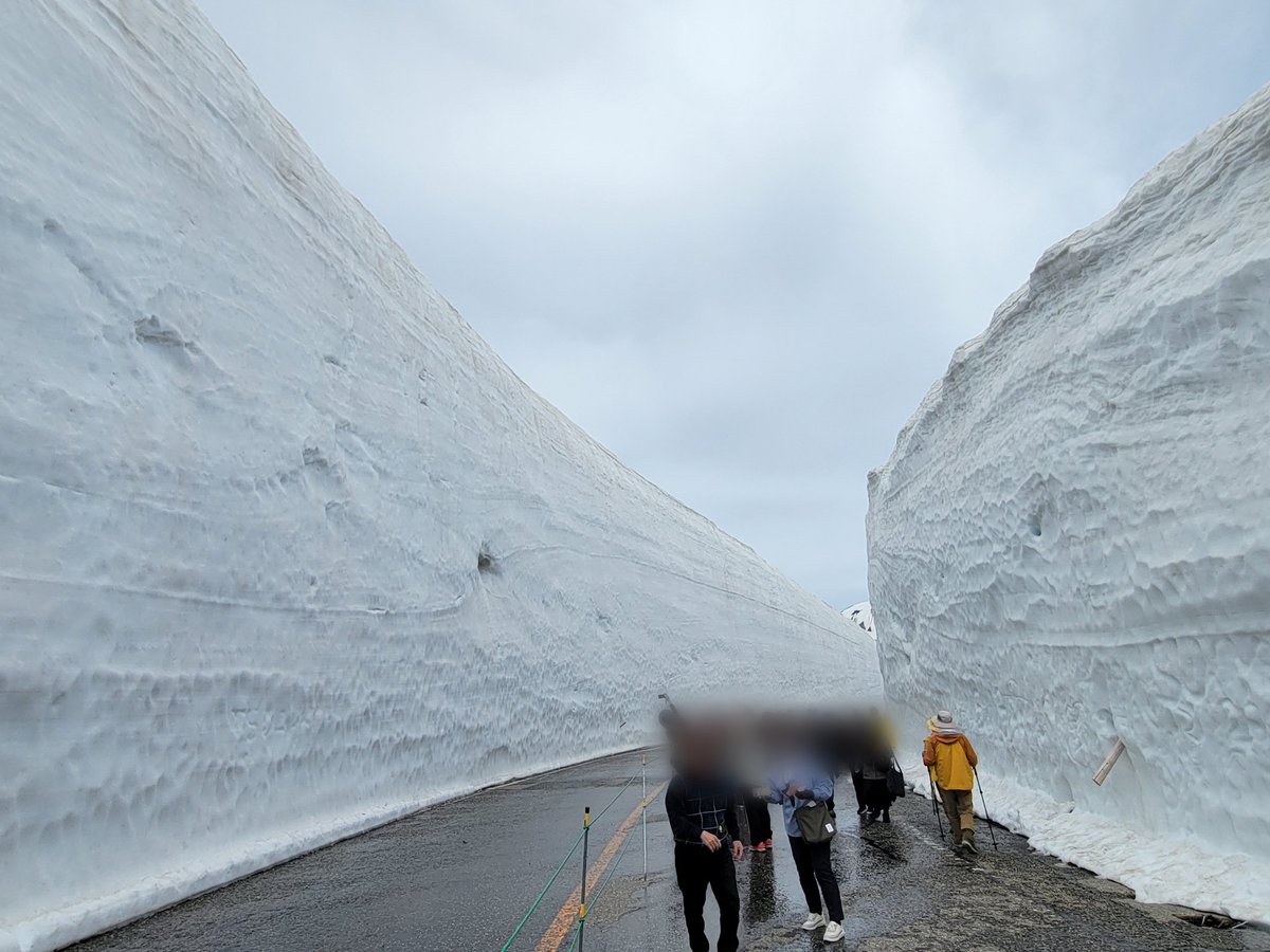 Grid_88291's tweet photo. 富山県民だけど、初めて立山黒部アルペンルートに来ました！
そして初の雪の大谷🧱 https://t.co/iteDzYYKeN
