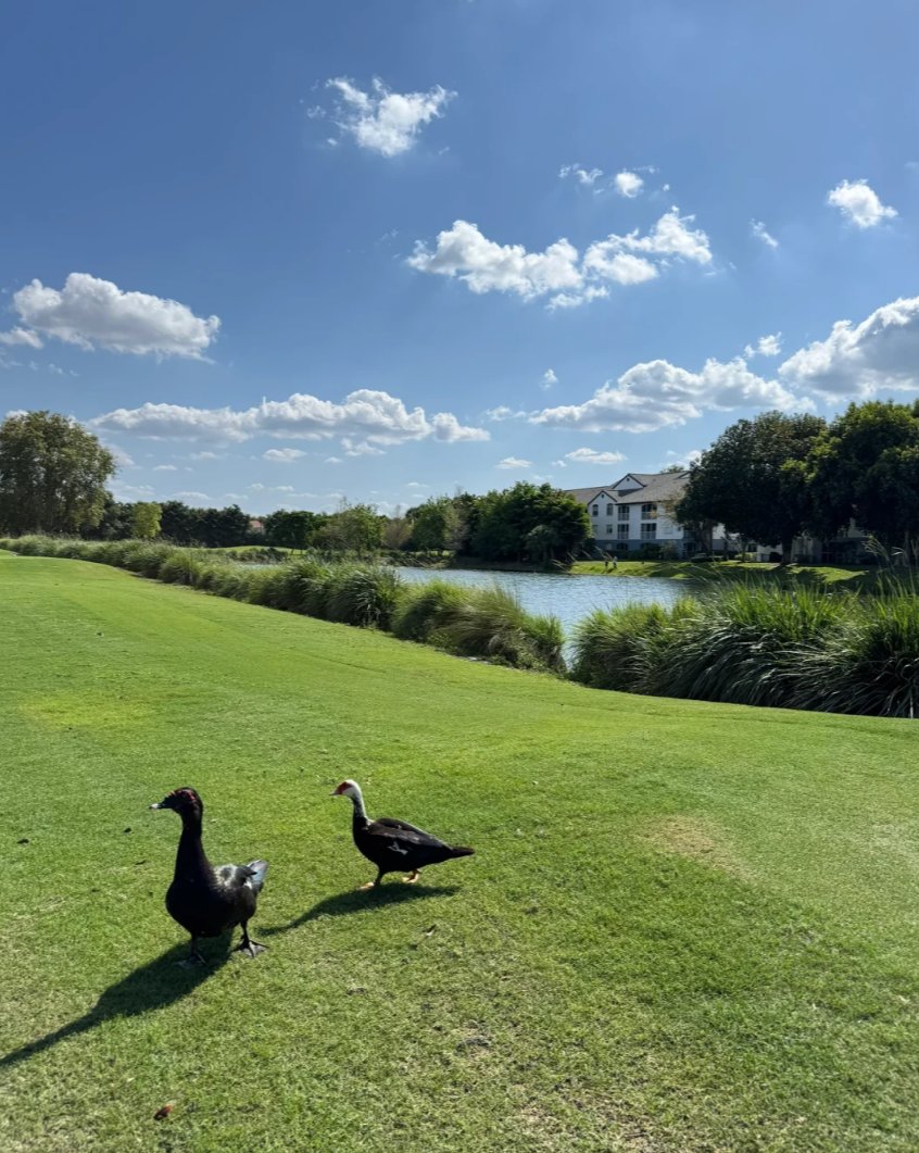 Myilegs's tweet photo. Discipline looks different depending on the scenery. https://t.co/SlhrjesDWl