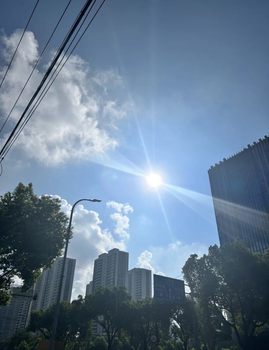 心に陽光を降り注ぎ、すべての新しい始まりを抱きしめましょう！🌻❤️