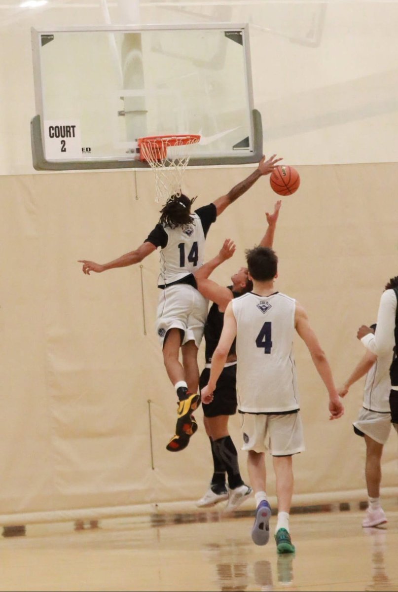 jodi anderson tweet media