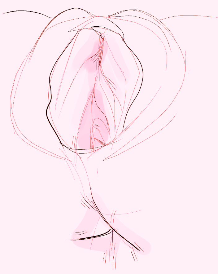 practice makes perfect some freehand Kitty's after a handful of studies 🐱