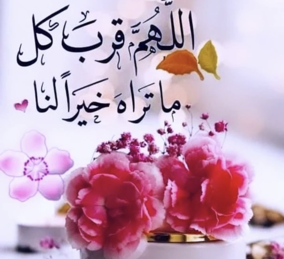 هلا العتيبي♥️ (@ltz_hla) on Twitter photo 