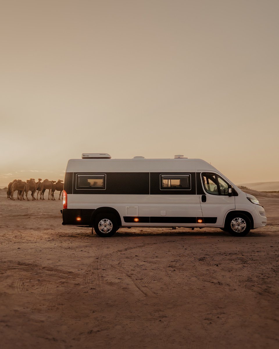gointerstate's tweet image. 🐫 📸 Not your average road trip selfie!
The perks of vanlife? You don&apos;t just see the country, you meet it, one hilarious local at a time.
What&apos;s the most unexpected &quot;hello&quot; you’ve had on the road?

intst.au
#vanlife #rvlife #motorhome #roadtrip #glamping