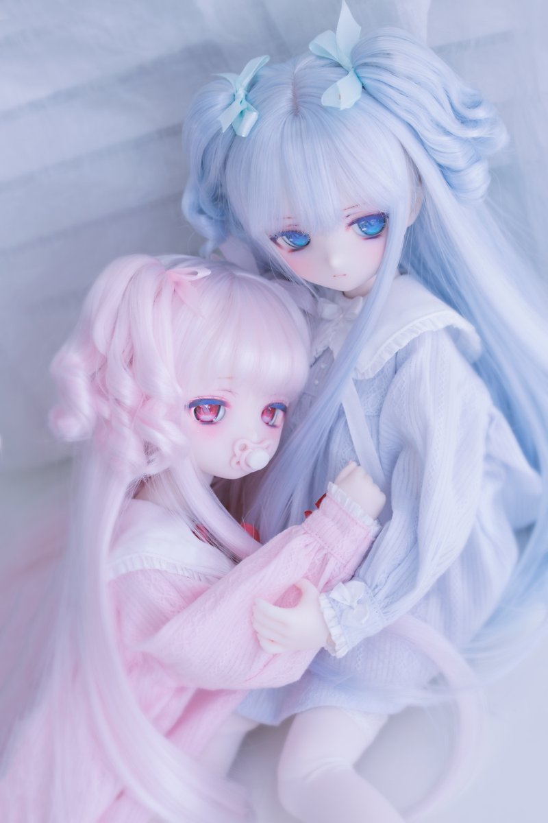再掲🩷🩵