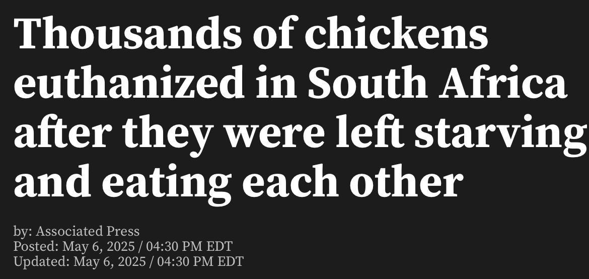 Wanjiru Njoya tweet media