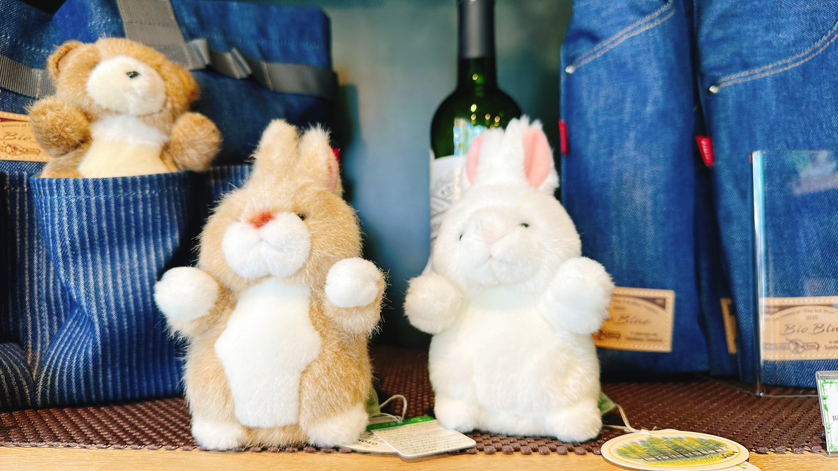 🛍️グッズ情報🛍️ 「あ！この動物森の中で見つけたよ！」 お子さま