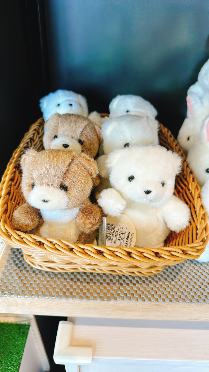 🛍️グッズ情報🛍️ 「あ！この動物森の中で見つけたよ！」 お子さま