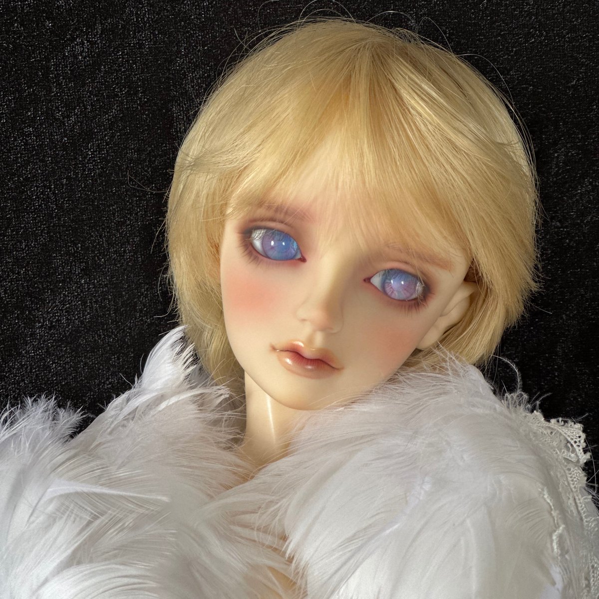 リゲルくんのアイはとわさん(<a href="/s_towa/">とわ</a>)の極楽鳥です✨
ゆめかわ〰︎