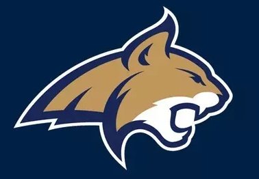 Blessed to receive an offer from <a href="/MSUBobcats_FB/">Montana State Football</a>.  <a href="/CoachSmith59/">Matthew Smith</a> <a href="/CoachSammyMix/">Sam Mix</a> <a href="/bvigen/">Brent Vigen</a>
<a href="/TheRightCats/">Montana State Football Recruiting</a> <a href="/boscofootball/">Bosco Football</a> 
<a href="/CoachNateMunson/">Nate Munson</a> <a href="/CoachMcArthur6/">Geoff McArthur</a> <a href="/TEAMTOARECRUITS/">TEAM TOA</a> 
<a href="/GregBiggins/">Greg Biggins</a> <a href="/adamgorney/">Adam Gorney</a> <a href="/Coach_JJHall/">Jonathan Hall</a>