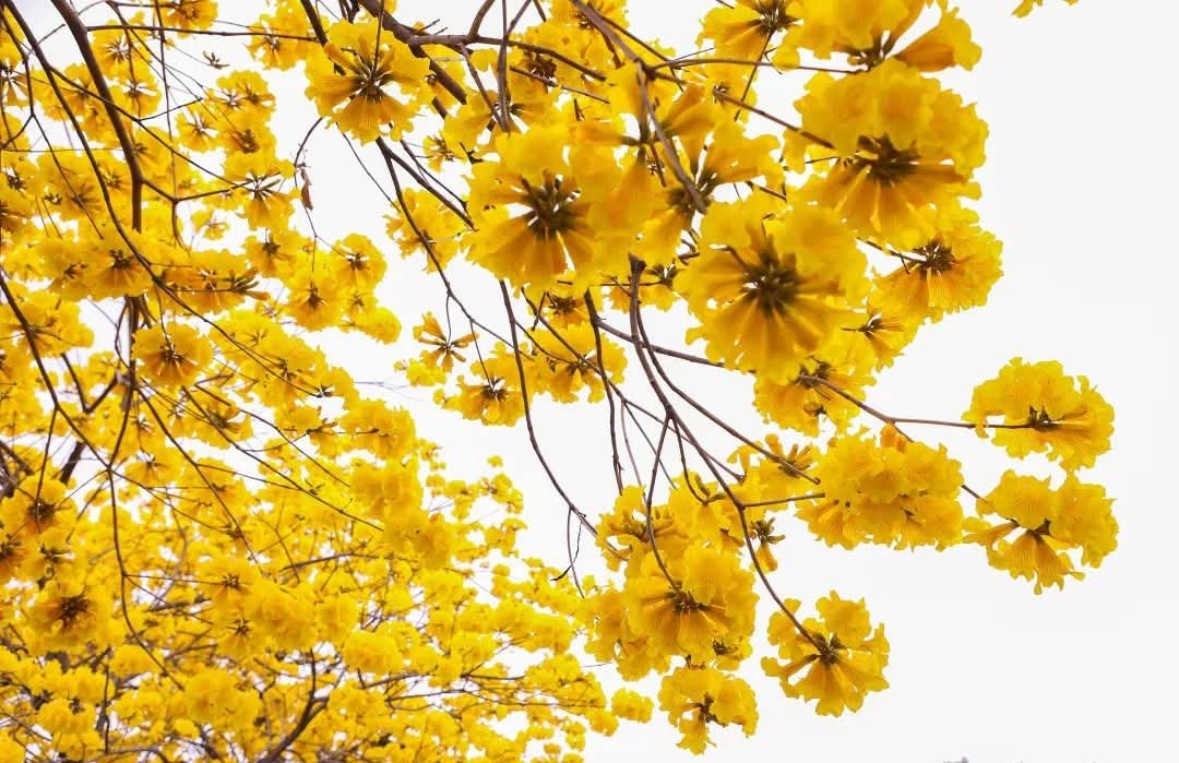 सदैव सर्वप्रथम स्थान पर रहिए...
मुस्कुराने में, प्रशंसा करने में, सहयोग करने में,
क्षमा करने में, दान करने में, रिश्ते निभाने में 
और स्वयं पर आत्मविश्वास रखने में... 

आपका दिन शुभ, सुखद और आनंदित रहे 💫