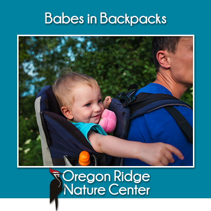 Babes in Backpacks
Wednesday; May 21; 9:30 - 10:30 a.m.
…egonridgenaturecenter.wildapricot.org/event-6117394
Wednesday; June 18; 9:30 - 10:30 a.m. …egonridgenaturecenter.wildapricot.org/event-6117399
Adults and children under the age of 4
Oregon Ridge Nature Center
13555 Beaver Dam Road
Cockeysville, MD 21030