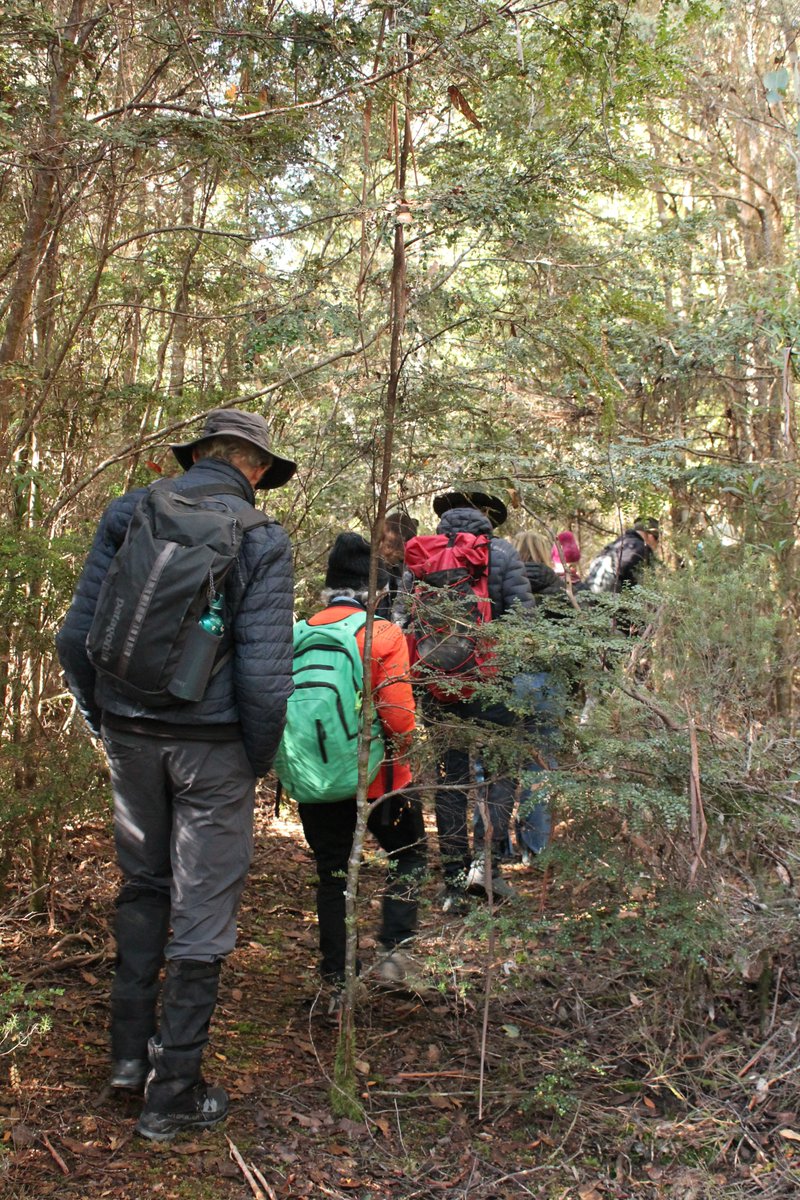 In early May we welcomed our #RegularDonors to Daisy Dell Reserve. Located near #CradleMountain the sun shone down on this special place that is dear to the community, sharing stories of banding together to protect the landscapes. We would like to thank John &amp; Peter for hosting