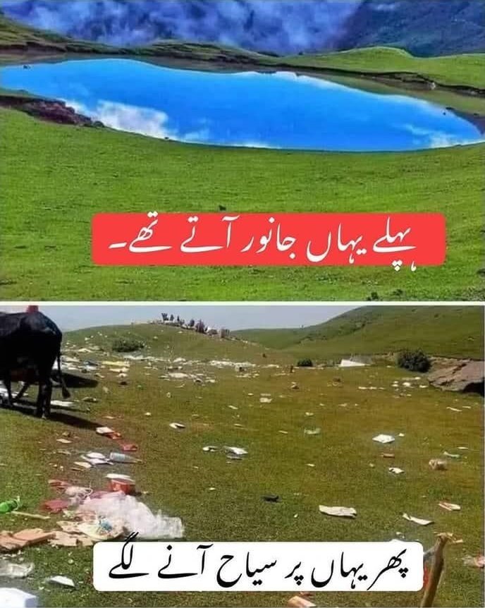 آپ کی لاپرواہی قدرتی حسن کو برباد کر سکتی ہے...
کبھی یہاں پرندوں کی چہچہاہٹ گونجتی تھی،
جانور آزاد گھومتے تھے،
سبزہ تھا، سکون تھا، فطرت اپنی اصل میں نظر آتی تھی۔

لیکن اب...
یہاں 
پلاسٹک کے ڈھیر،
اور انسانوں کی غفلت نظر آتی ہے۔

یہ سب کچھ کس کی وجہ سے؟
صرف ہماری لاپرواہی سے!!!