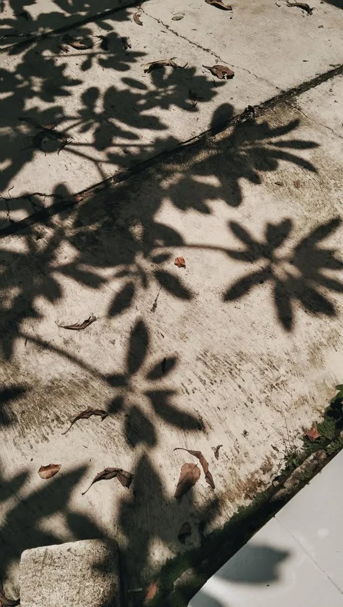 aueyzhn's tweet photo. Andai kalian tahu,
betapa sering aku berbicara dengan bayanganku, membisikkan “maaf”
kepada mimpi-mimpi yang dulu kutanam, namun tak pernah sempat kusiram. https://t.co/5jPmRMPL0X