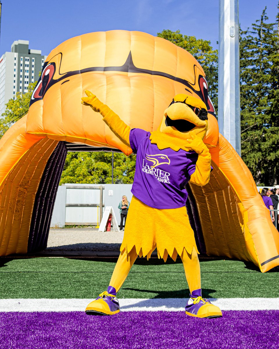 Laurier Golden Hawks (@wluathletics) on Twitter photo 🌟 For the very first time, Midas the Golden Hawk has been named Mascot of the Year at the <a href="/OUAsport/">Ontario University Athletics</a> CHAMP Awards!
📰 tinyurl.com/yrdustzf
#SoarAbove
📸 Hailey Tripodi 🌟 For the very first time, Midas the Golden Hawk has been named Mascot of the Year at the <a href="/OUAsport/">Ontario University Athletics</a> CHAMP Awards!
📰 tinyurl.com/yrdustzf
#SoarAbove
📸 Hailey Tripodi
