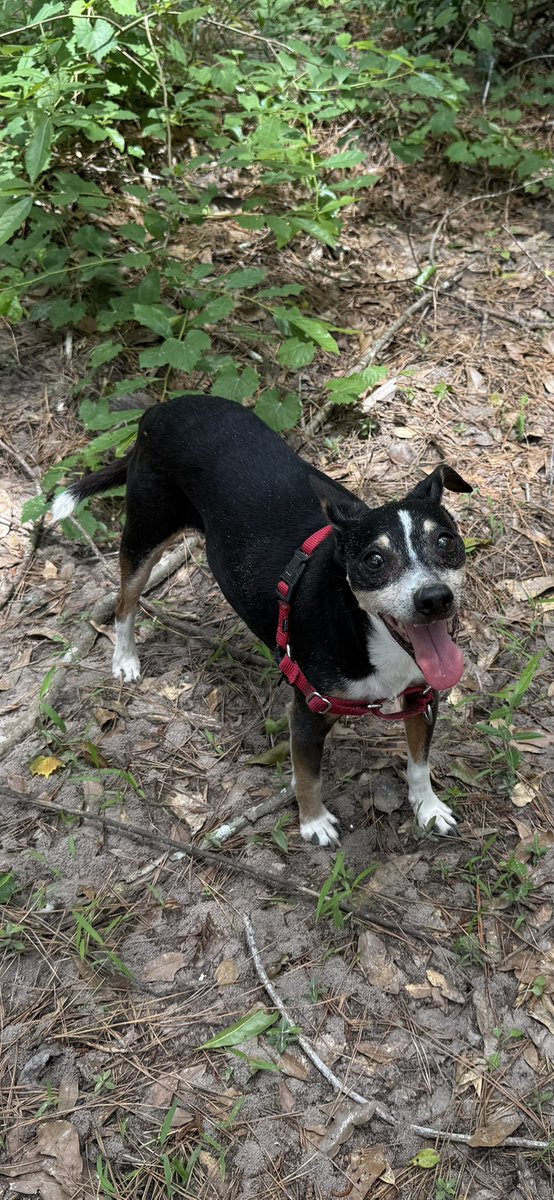 Here’s a picture of Freeway