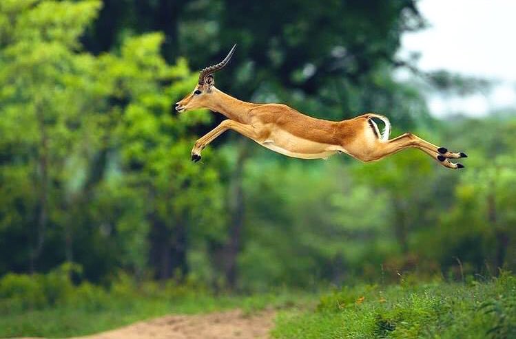 Eee Mungu pale unapowapa mahitaji wengine tunaomba utukumbuke na sisi 🙏🙏 

Good morning familia ya Mungu 🌄🌄