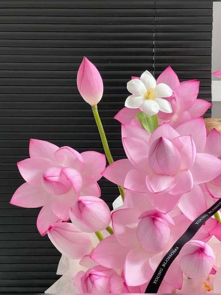 i3Moment's tweet image. Lotus flowers 🪷