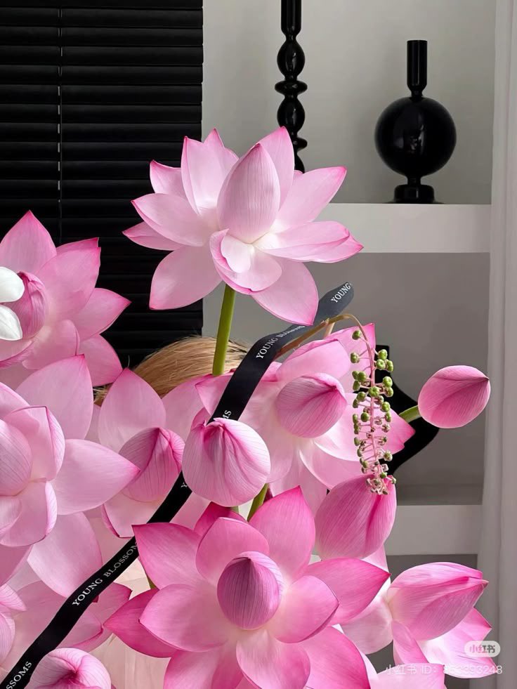 i3Moment's tweet image. Lotus flowers 🪷