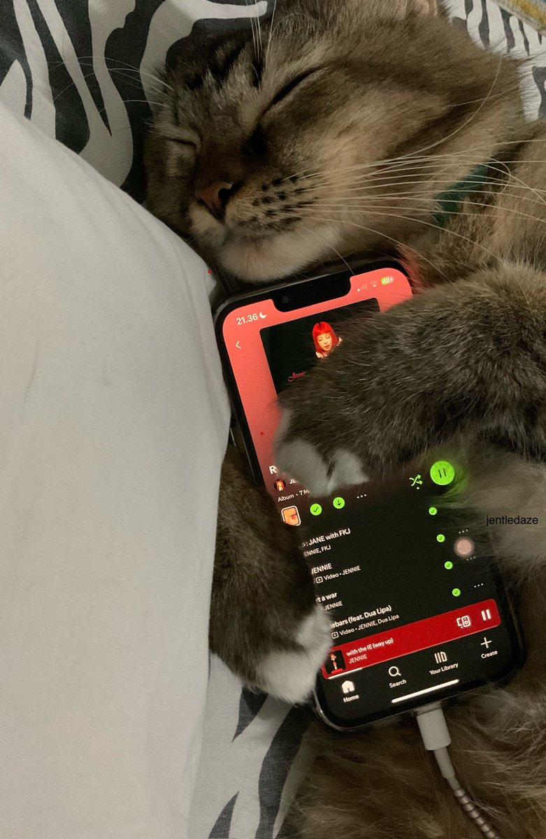 bluejnnie's tweet image. my attitude is ya ya ya