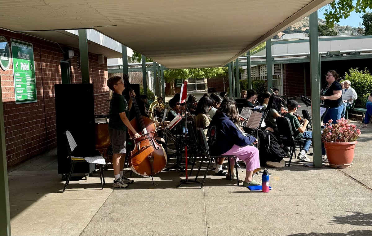 MustangsPHMS's tweet image. Thank you to all of the amazing families who joined us this evening for our Open House! We loved sharing all of our #PHMSMustangsPRIDE with you! 💚🐎 @MtDiabloUSD