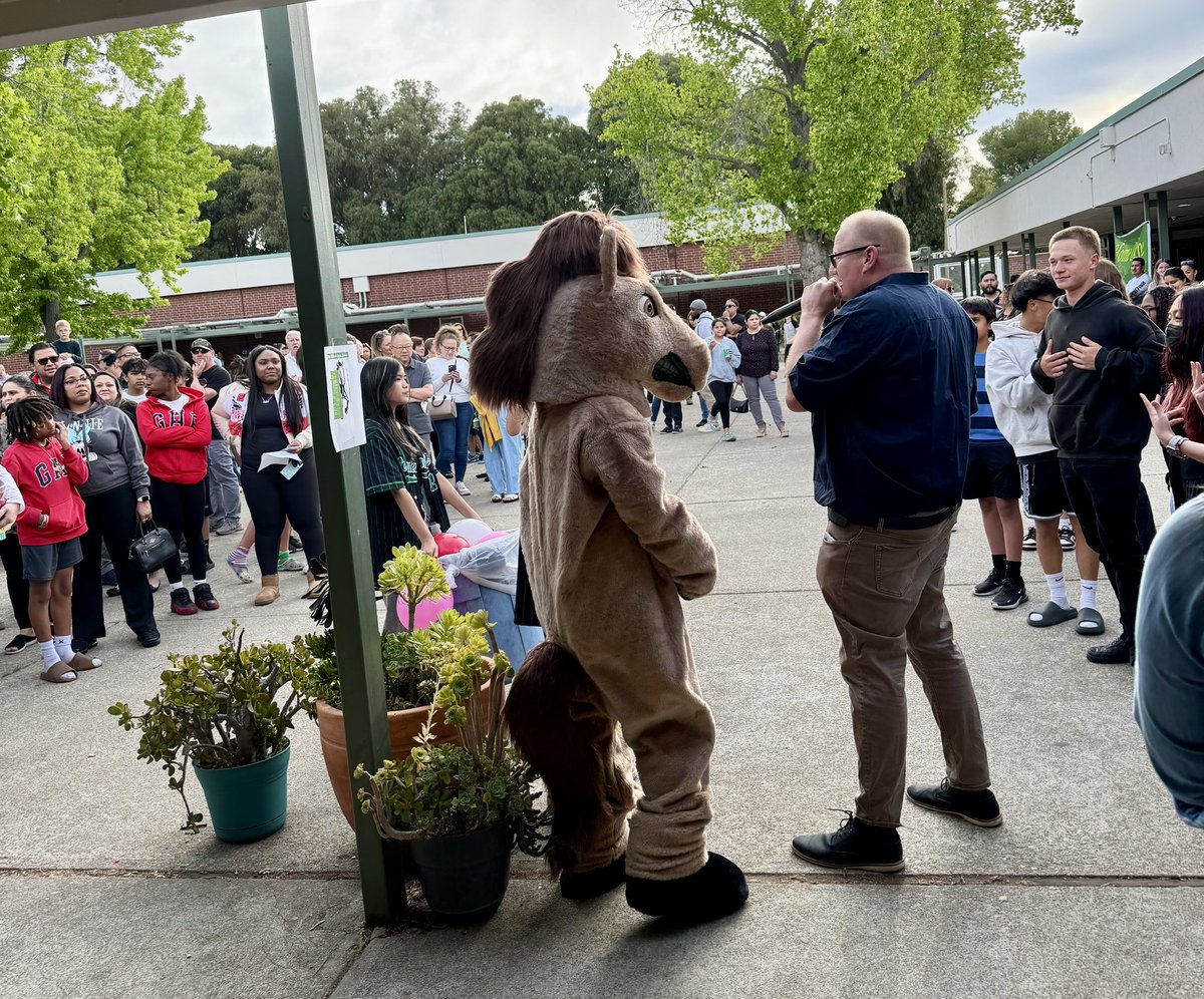 MustangsPHMS's tweet image. Thank you to all of the amazing families who joined us this evening for our Open House! We loved sharing all of our #PHMSMustangsPRIDE with you! 💚🐎 @MtDiabloUSD