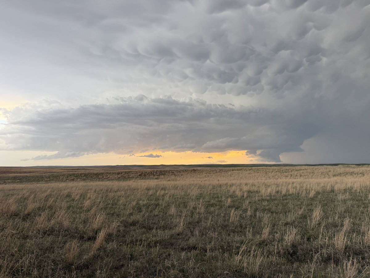 StormChaseTeam's tweet image. DAY 3 RECAP: First chase day was a success ‼️ Today we chased around North Platte, Nebraska ⛈️ We saw some incredible mammatus clouds and a landspout! 🌪️