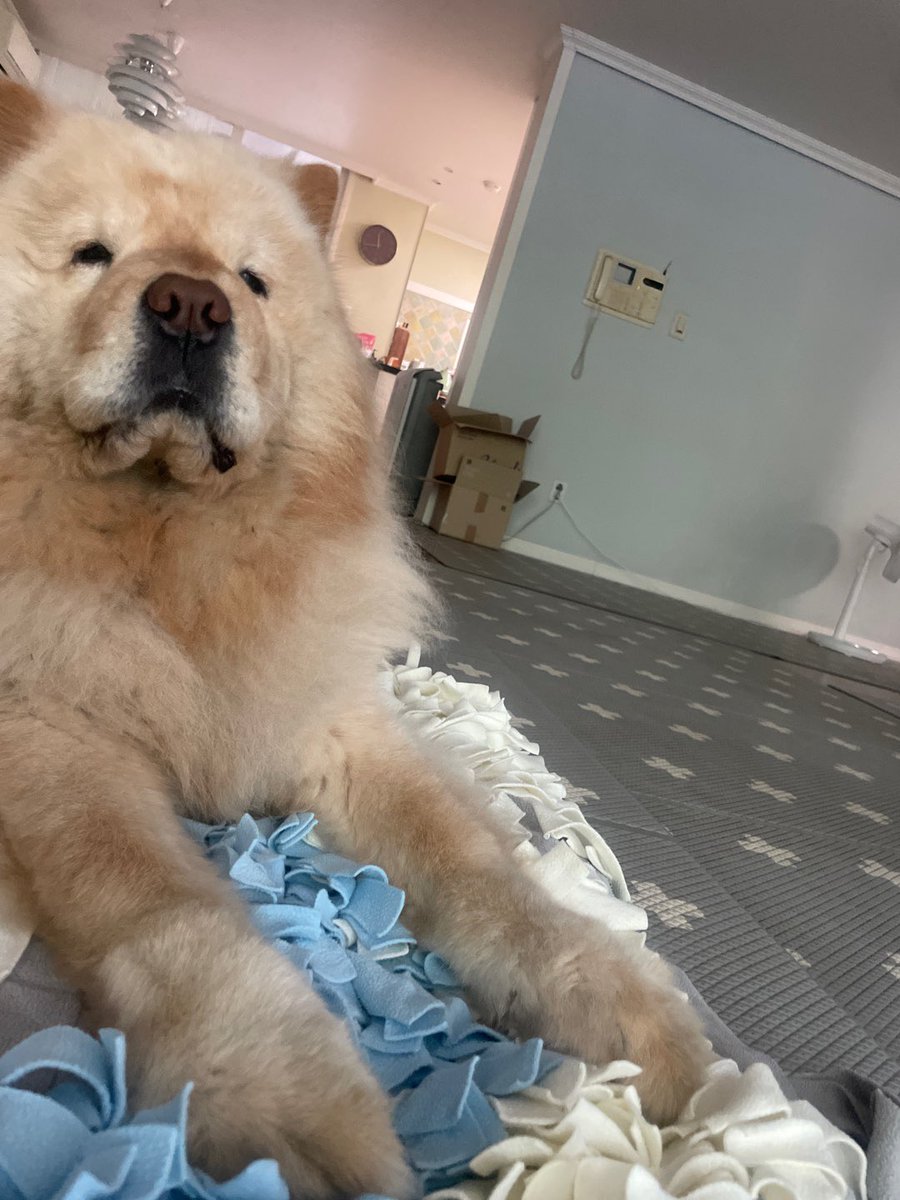 비가 오는 중인지 살펴본다