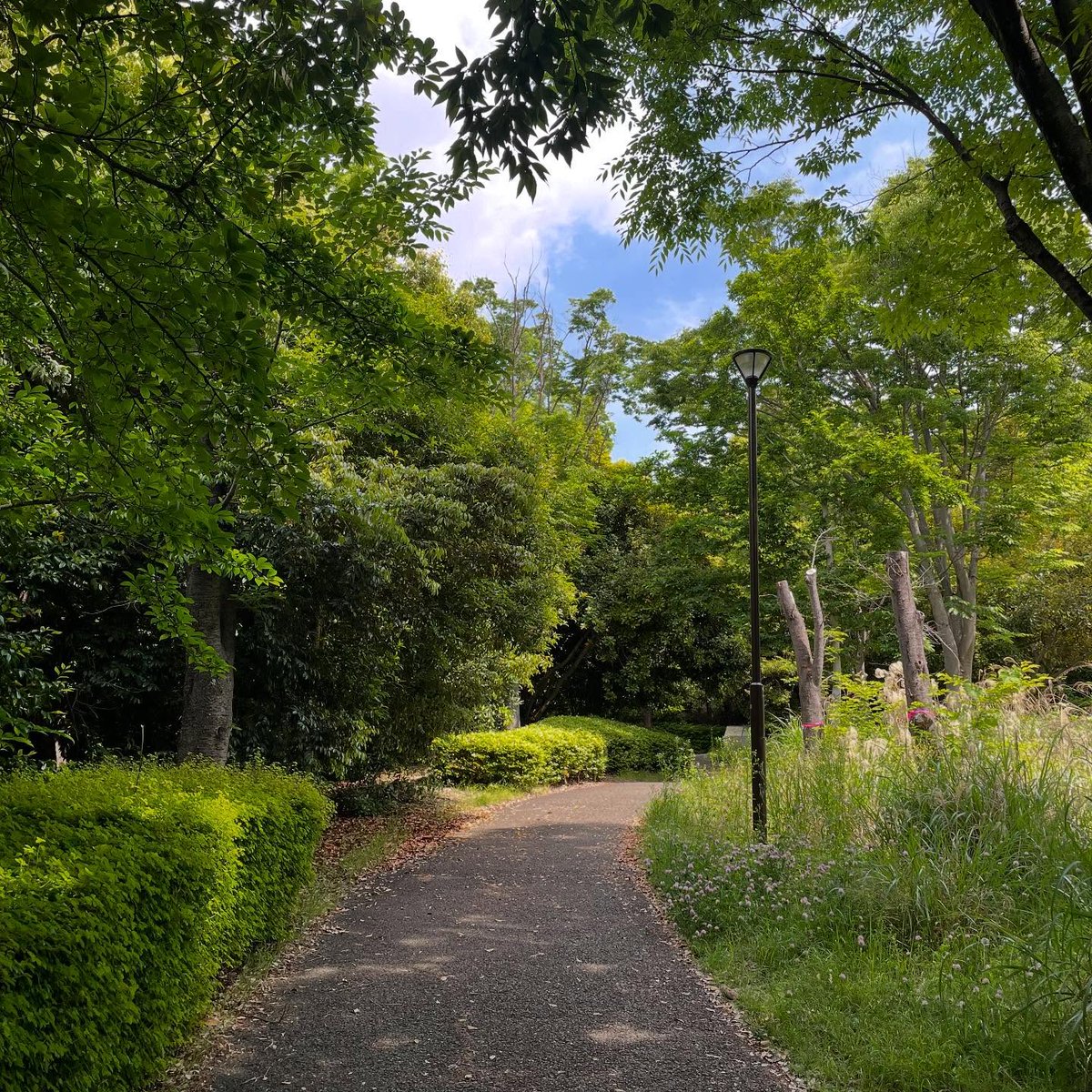 mikad07's tweet image. Newシューズ下ろしました。
東京マラソンexpoで買ったBROOKSのGhost Max2
　
試しに緑道ラン。いいね、コレ。
緑道の色んな路面にも負けてず、ペース上げても下げてもしっかりサポート。
　
いい靴買いました。現用NBの1080と併用でジョグシューズには暫く困りません。
　
#BROOKS
#GhostMax2