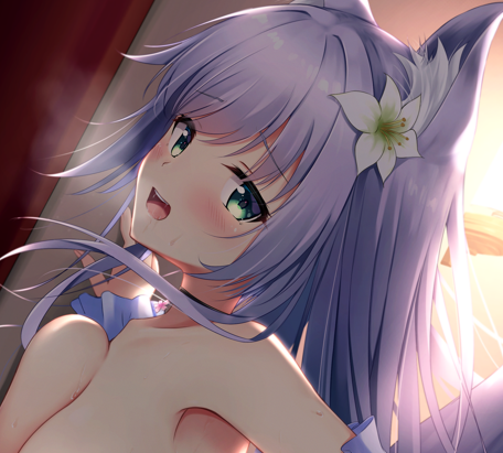 Kaioura 🌸 tweet media