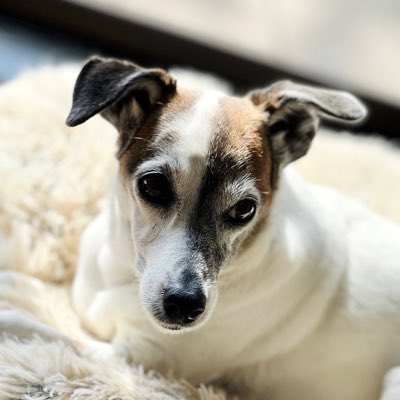 RMS_Future's tweet image. My dear Pandy 😍🥰🥰
#Pandy #andTEAM_MAKI #MAKI