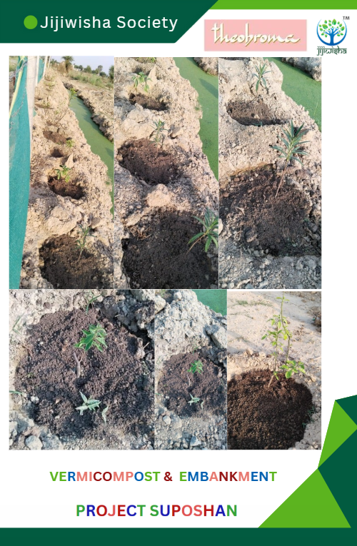 What would you call it?
For us, it is makeup of the soil, plants and the landscape!
Procedurally, it is embankment and vermicomposting around the sapling, 2-3 kg of vermicompost per sapling
#jijiwishasociety
#theobroma
#CSR
#fruitbearingplants
#datawali
#communityhealth