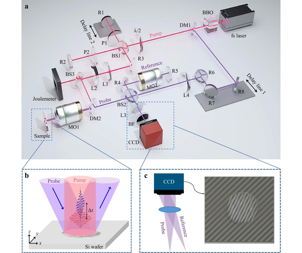 LightSciAppl's tweet image. #LAM_Highlight: [Article] Dual-modal spatiotemporal imaging of ultrafast dynamics in laser-induced periodic surface structures. @ShenzhenUni #ZhejiangLab