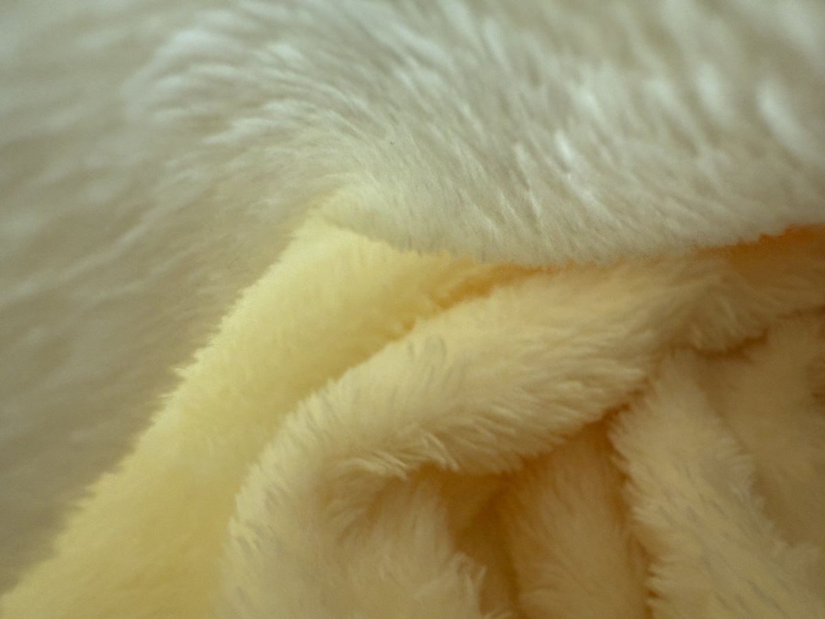 홰사에서 밥 안먹고 잠..
담요 뒤집어쓰고 아늑하게 자다깬 내 시야