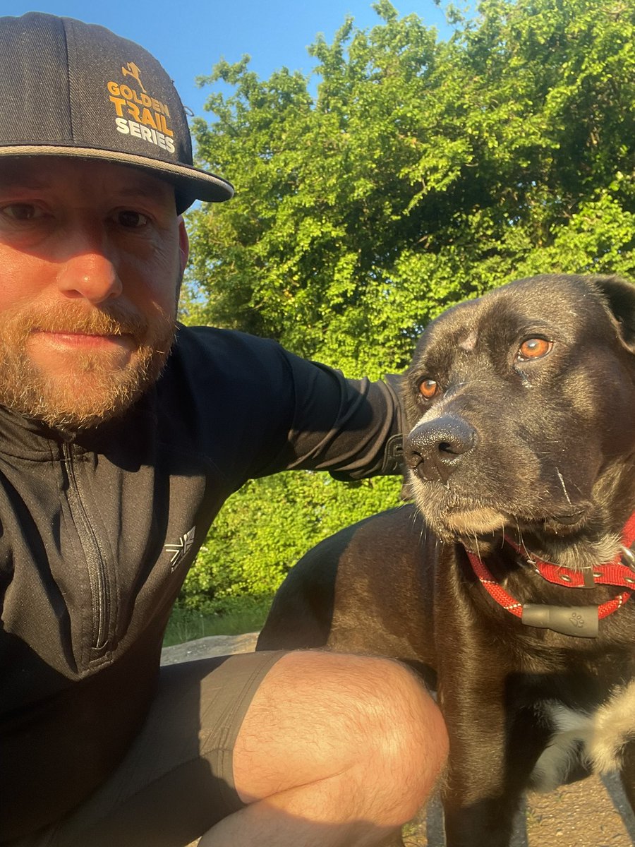 Onedove's tweet photo. @liamgallagher Morning Liam from Gavin &amp; Wesley. 
He’s been a sick dog last few weeks but back to his best now. 
Peace &amp; Love ✌🏻✌🏻 https://t.co/aYDEVJWpnD