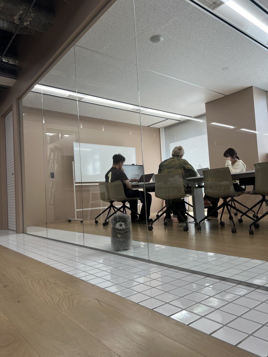 franky_dogs's tweet image. ミーティングに参加してる四角い社員1名
