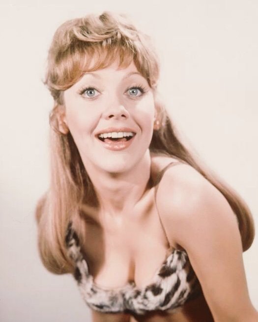 LangfordBarry's tweet image. If your dad loves #CarryOn movies, what better #FathersDay treat than an afternoon with the beautiful stars of Carry On Up The Jungle?!
Join Valerie Leon &amp;amp; Jacki Piper LIVE in person at Basingstoke Haymarket Theatre on Sunday 15 June for Carry On Ladies! 
shorturl.at/dcAvr