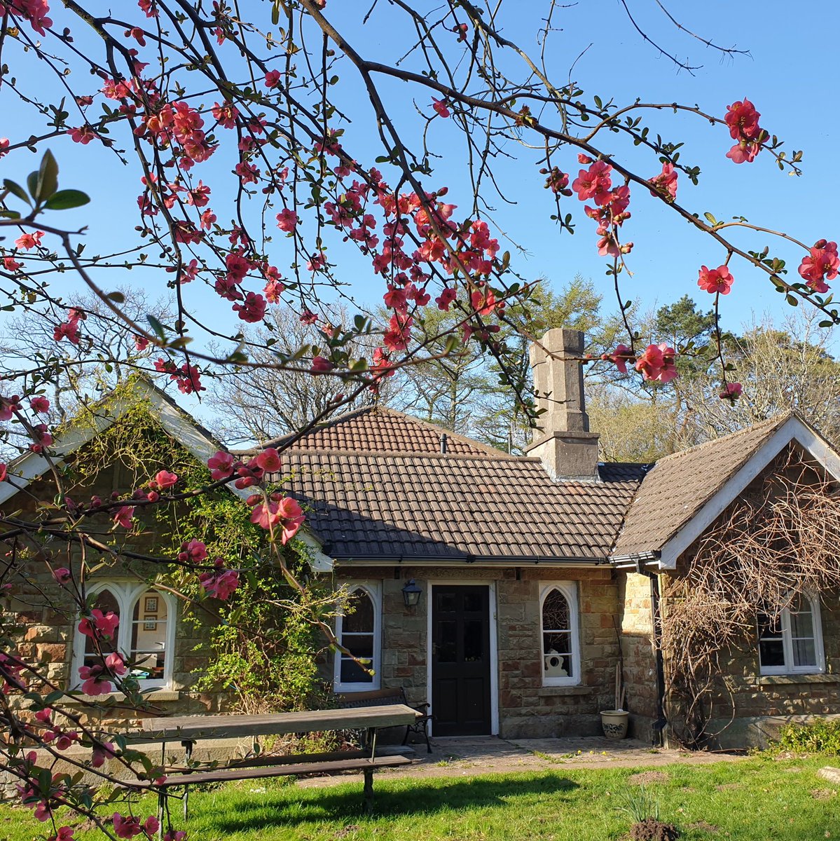 "A wonderful hideaway that made us feel as if we were in the middle of nowhere! Just minutes from Swansea and the Mumbles, the beach and all the city has on offer. Plus the beautiful Gower Peninsula. Fabulous for us and our dogs! Susanna - The Keeper's Cottage - December 2024