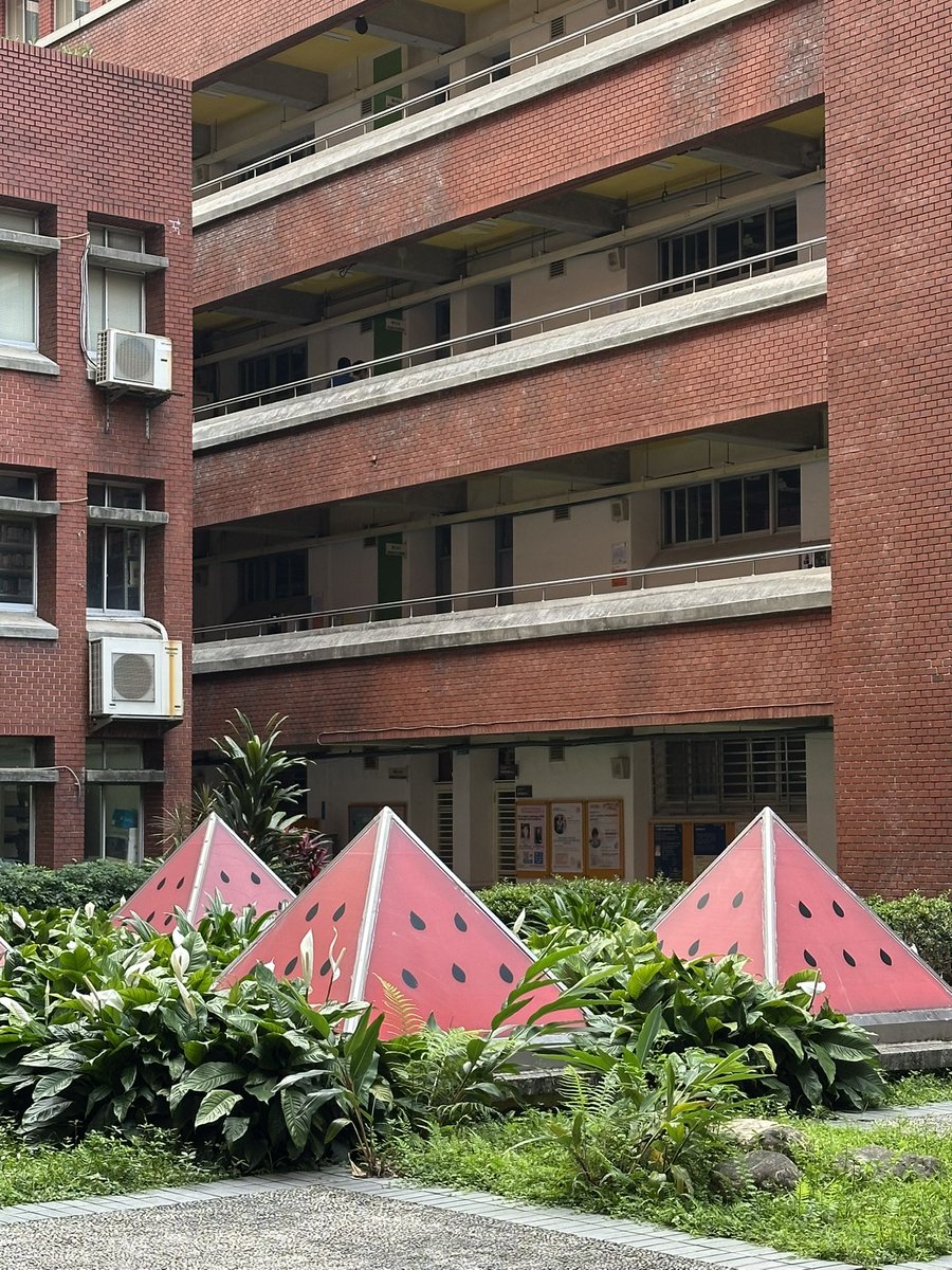 5월의 캠퍼스 곳곳에 수박이 보이는 이유는 옛날 학생들이 고백할 때 수박을 선물했기 때문이라고. 가난한 학생들이 쉽게 선물할 수 있는 과일이 가장 싼 과일인 수박이기도 했고 워터멜론과 중국어로 ‘내 사랑(我的美人 : 워더메이런)’의 발음이 비슷하다는 데에서 유래되었다는 이야기도 있다.