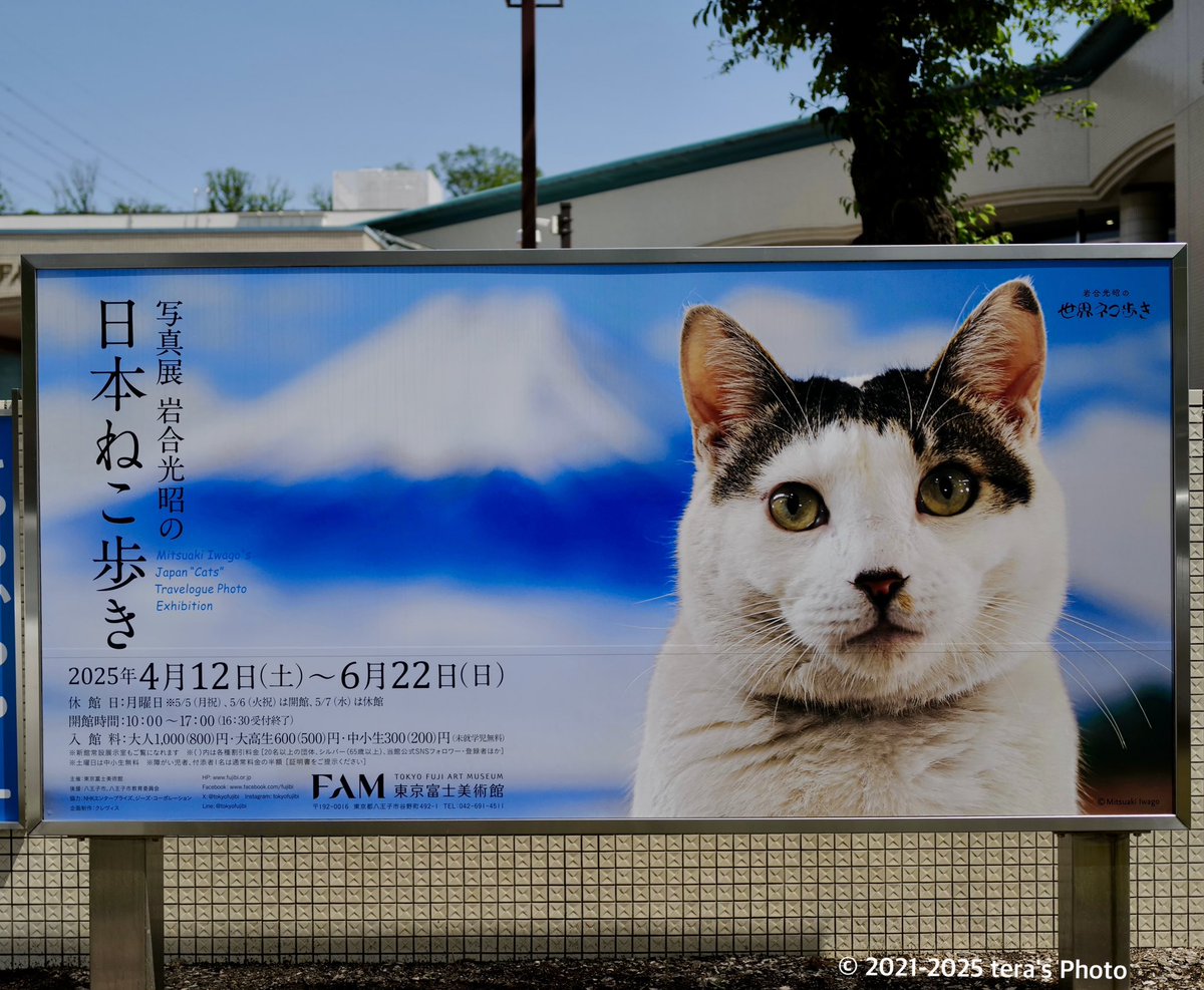 GW初日(私のGW)午後から岩合光昭<a href="/lion007/">岩合光昭</a> さんの写真展に行ってきました。トークショーで楽しいお話を聞き、サイン会で写真集にサインをしていただき、のんびりと写真を見て帰ってきました。写真の猫様は西荻窪<a href="/sirakababbq/">西荻窪・天狗湯</a> 天狗湯のぐーさん。天狗湯に行ってみたい。