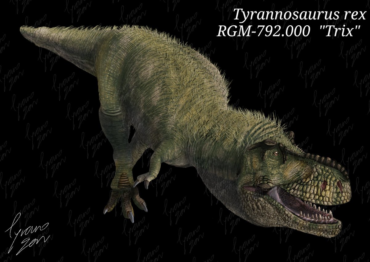 T-Rex Run【1bmw.org】Zm2