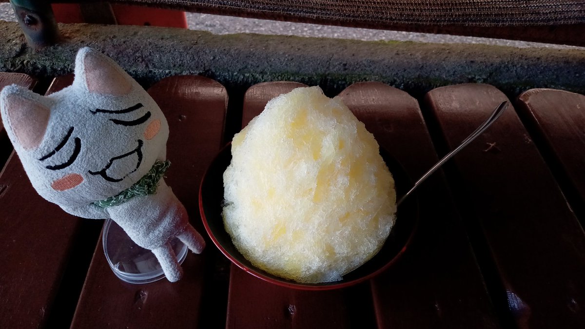 今年、初かき氷！
日に日に陽射しが!!
オレンジレモネードです✨
#涼み屋
#戸部 
#どこいつエブリディ
