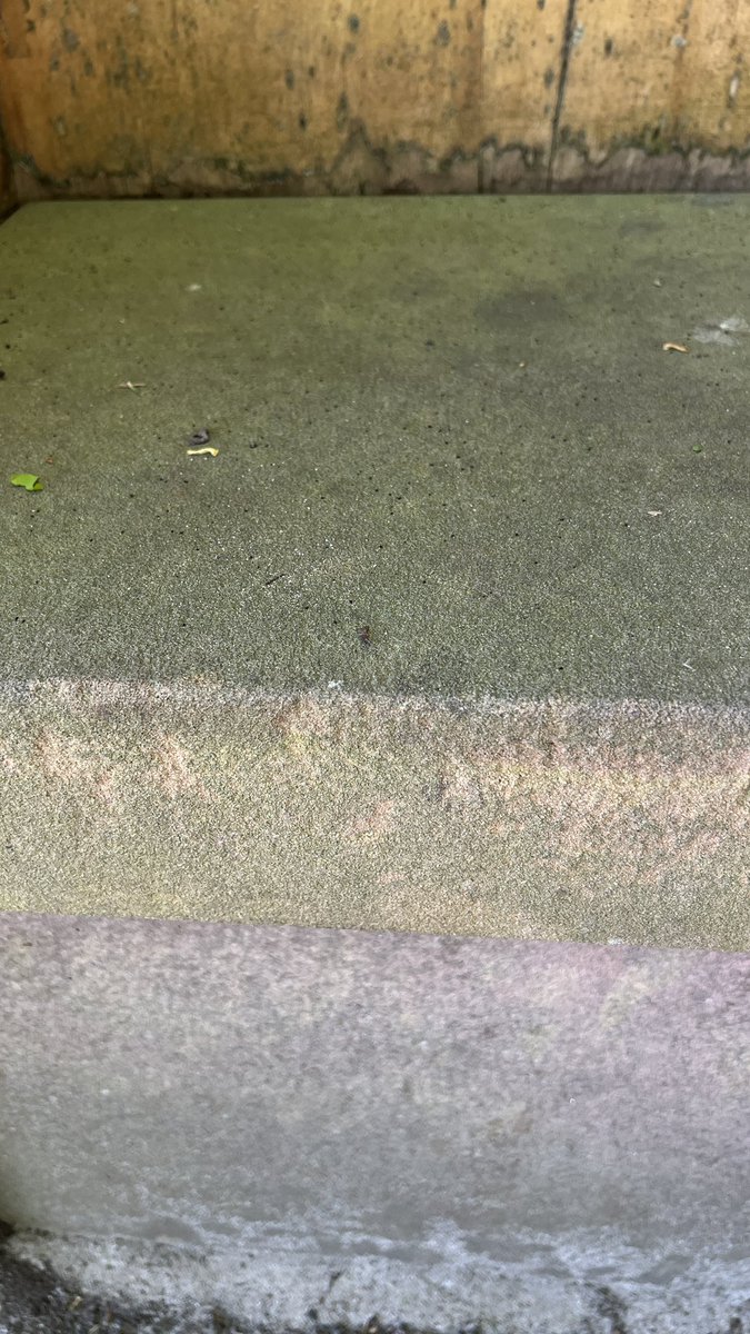 NONPAINTSTORE tweet media