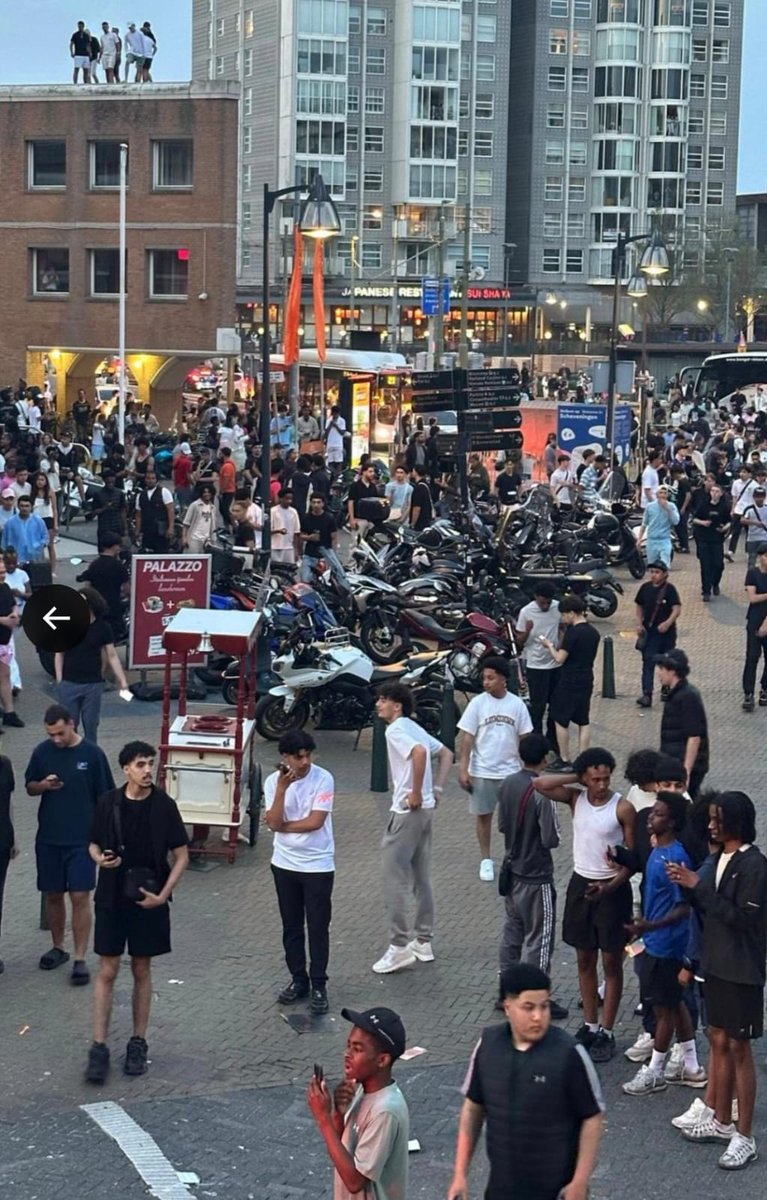 Op Twitter/X gaan berichten rond dat het tuig in #Scheveningen Antillianen of Surinamers waren. Sorry hoor, ik zie bijna uitsluitend allochtonen met Noord-Afrikaans uiterlijk, en dat zijn meestal islamieten (o.a. Marokkanen). 
#eenvandaag #wilders #vvd #D66 #ja21