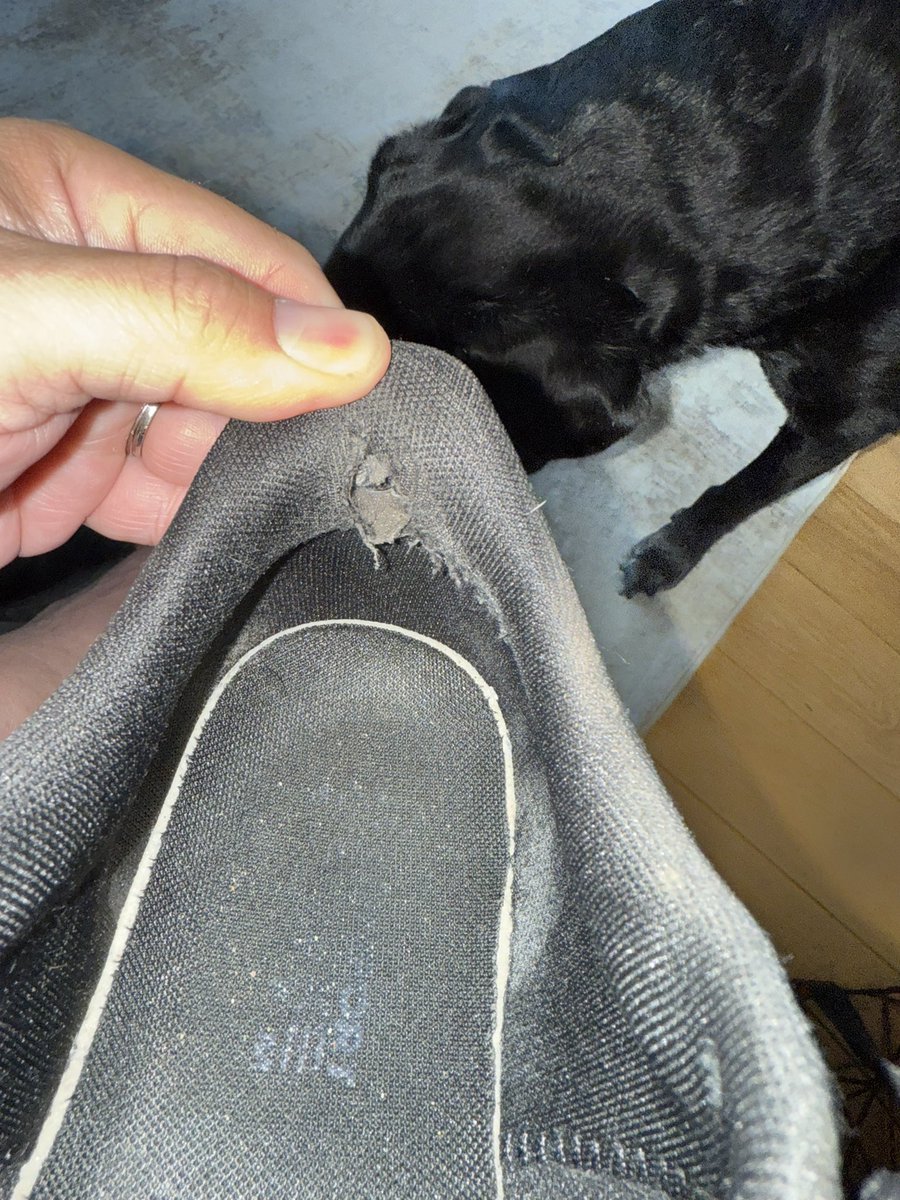 ItsPhilAgain's tweet image. I always thought the @UnderArmour trainers look super comfortable. Shame the quality is so poor. Only had them 7 weeks, such a waste of money.