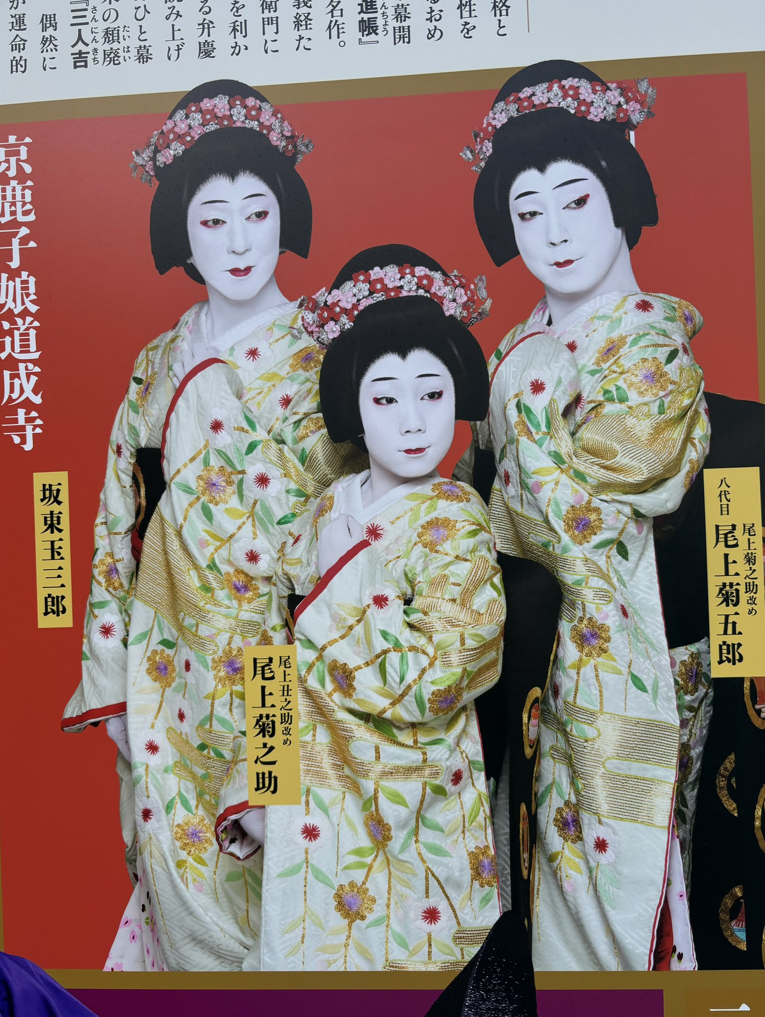 京鹿子娘道成寺 - Search / X