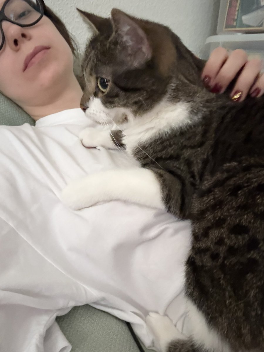 Не могу ничего делать. Меня придавило котом