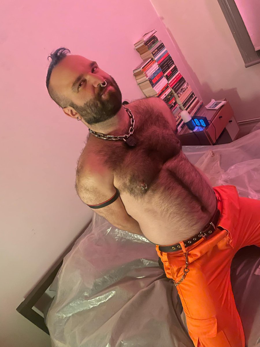 Dash Pigfield 🐷Construction Cub 🐻🦺 tweet media