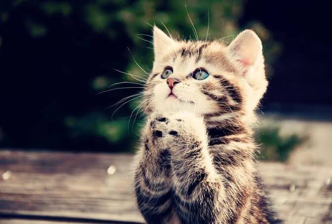 Allahım🤲
Yerde senin gökte senin

Yere de,
Göğe de sakinlik ver

bize merhamet et amin🙏